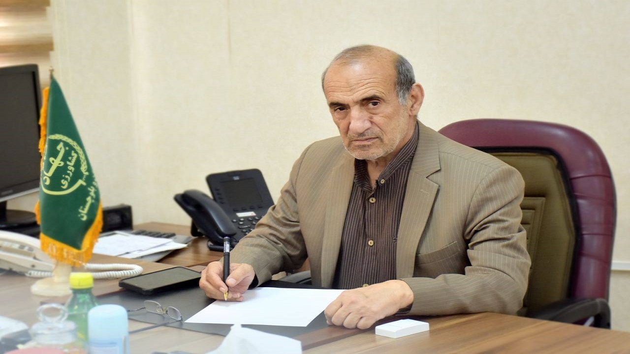 ۳۱ هزار تن گندم به مراکز خرید سیستان وبلوچستان تحویل شد