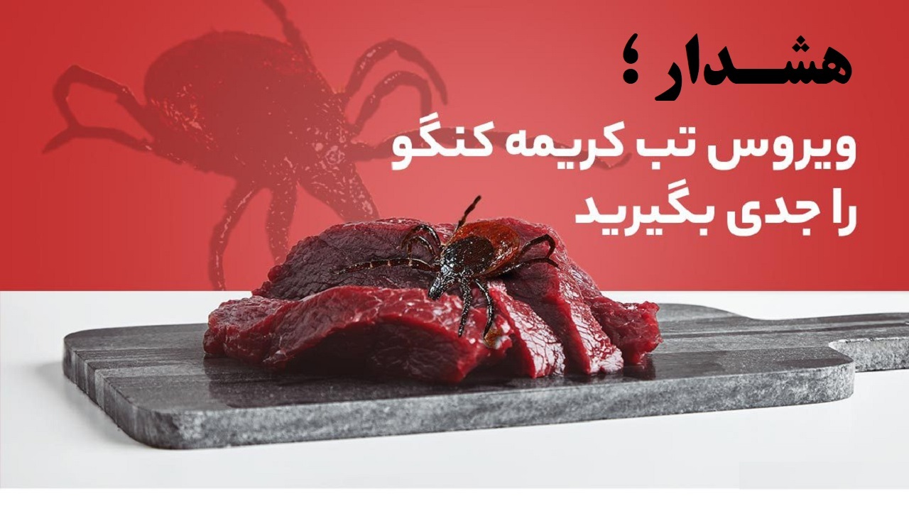 فصل گرما در پیش است تب کریمه کنگو را جدی بگیرید