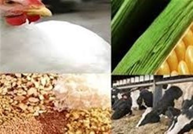 شیوه جدید ثبت سفارش کالاهای مشمول ارز ۲۸.۵ هزار تومانی اعلام شد