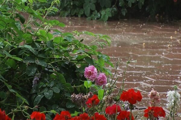 پیش بینی رگبار بهاری برای برخی نقاط فارس