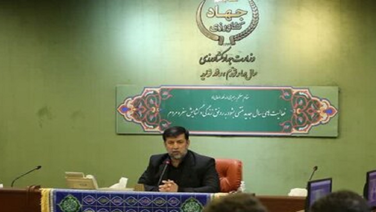 خرید تضمینی گندم به بیش از ۱.۵ میلیون تن رسید