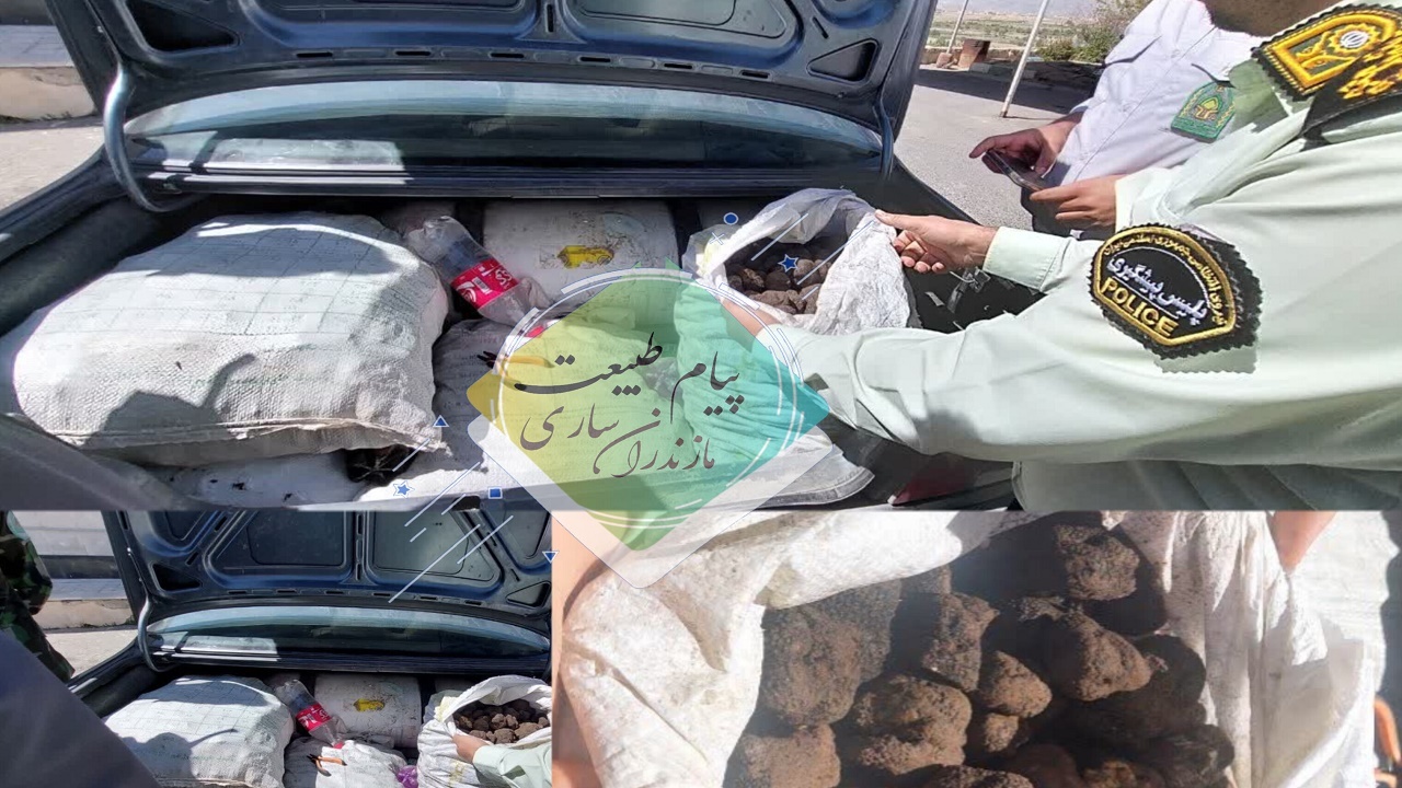 توقیف خودروی سواری حامل قارچ ترافل