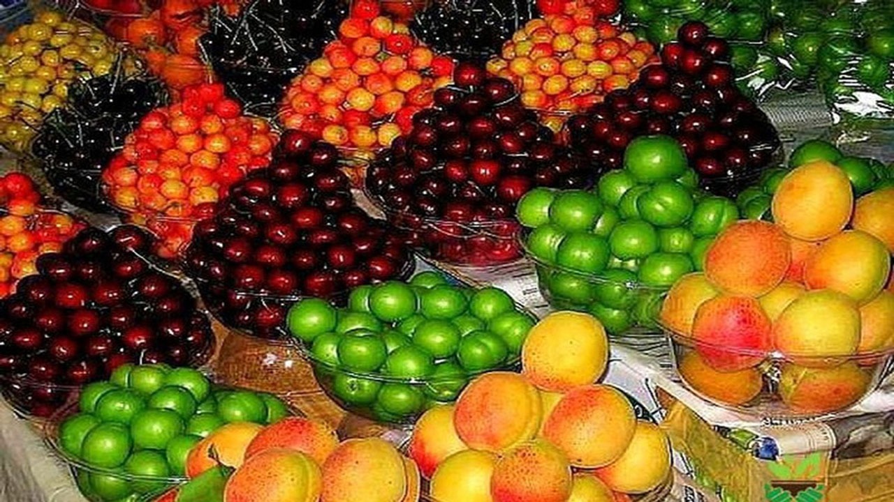 میوه های نوبرانه در حال کاهش قیمت