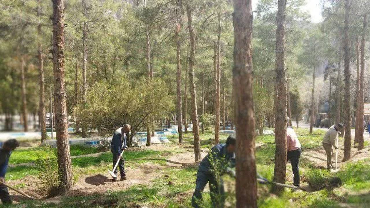کاشت بیش از ۲۵ هزار گلدان گل در گلزار شهدای کرمان