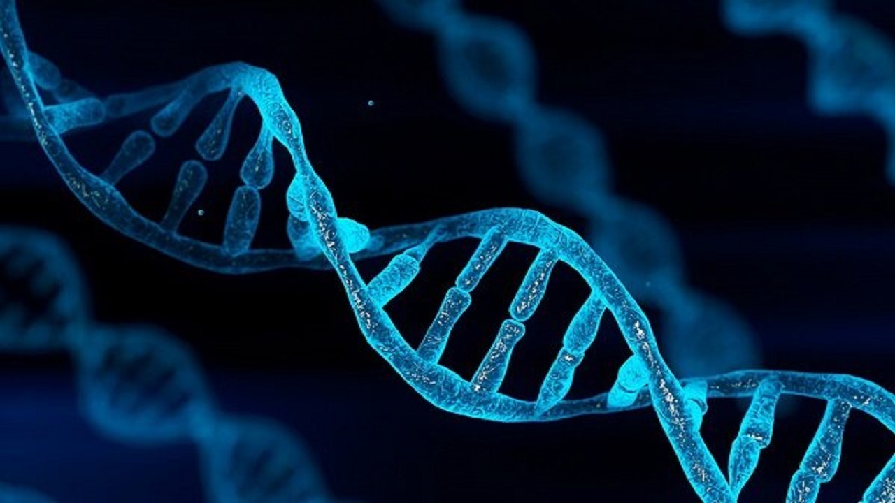 آغاز به کار دیتاسنتر‌های حاوی DNA تا ۱۰ سال آینده