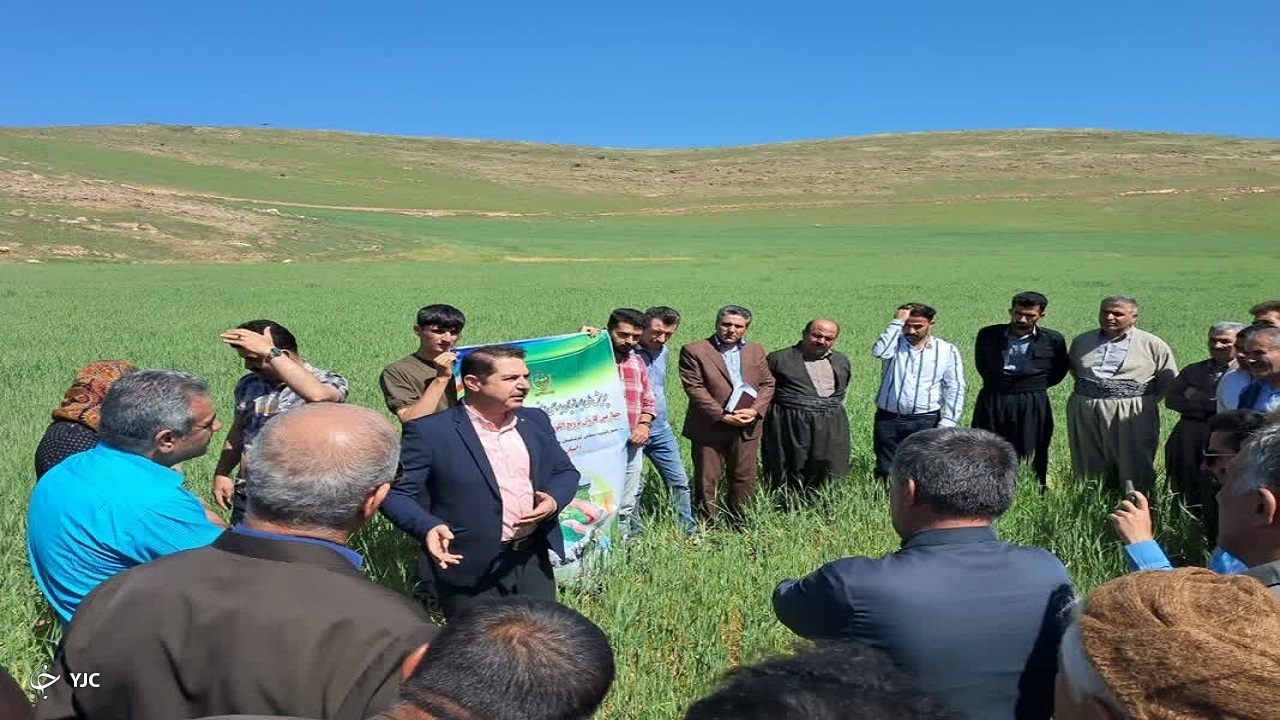 حضور کاروان ترویج الگوی کشت ملی در روستای قوپی باباعلی مهاباد