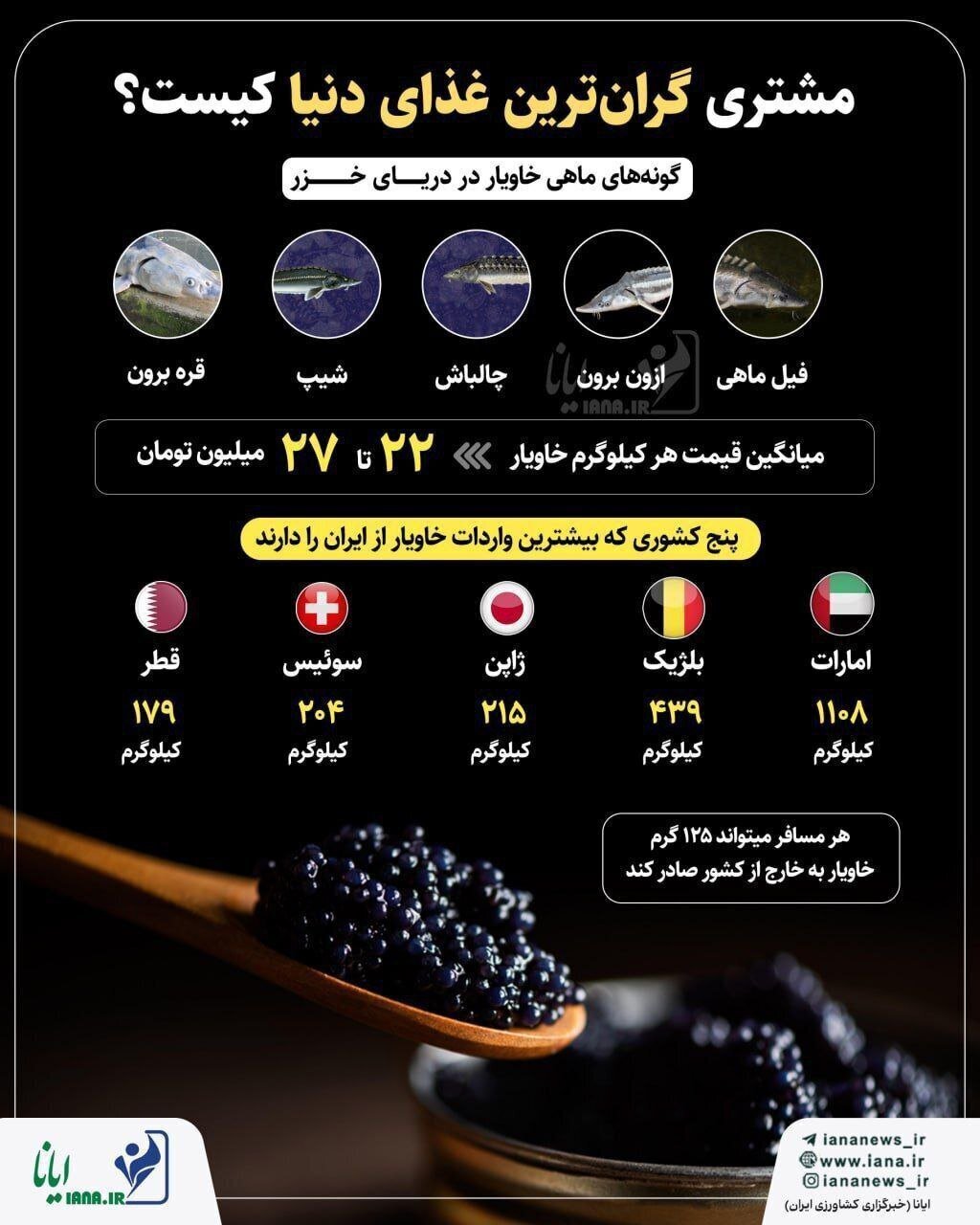 اینفوگرافیک