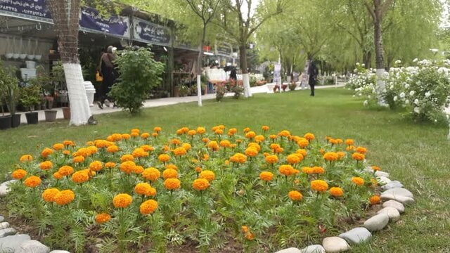آغاز به کار هشتمین نمایشگاه ملی گل و گیاه و صنایع دستی در شهر هشتگرد