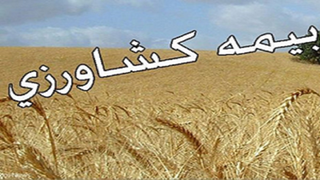 ۹۳ هزار هکتار از اراضی کشاورزی لرستان بیمه شد