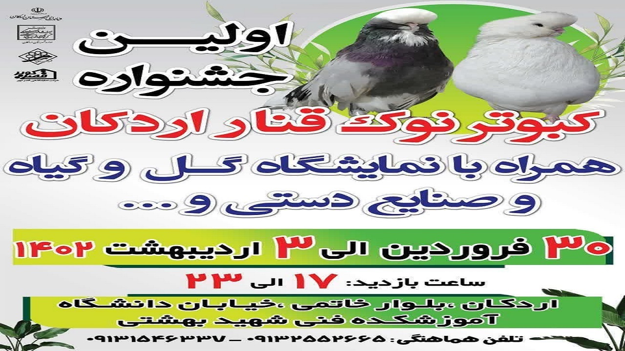 هدف، کبوتر نوک قنار