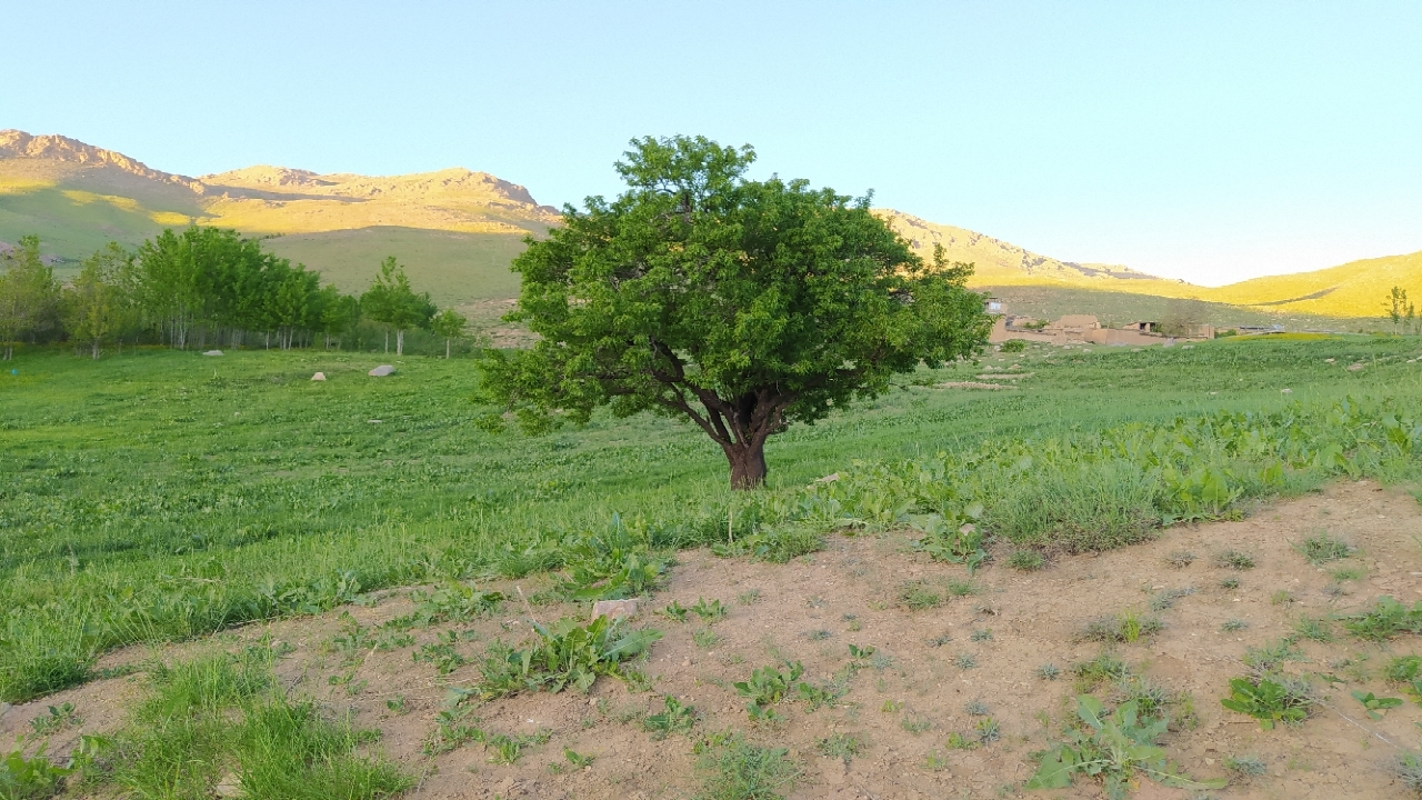شکوه بهار در طبیعت بکر چهارمحال و بختیاری + فیلم