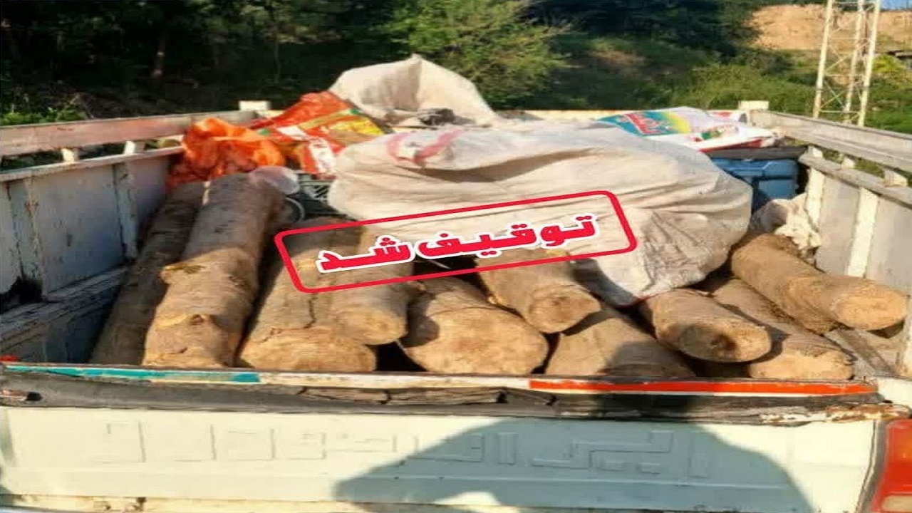 کشف چوب آلات جنگلی قاچاق در شهرستان سوادکوه