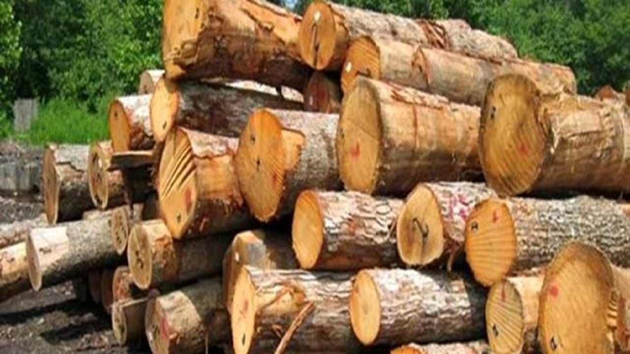شناسایی و توقیف سمند حامل چوب قاچاق جنگلی در اردبیل
