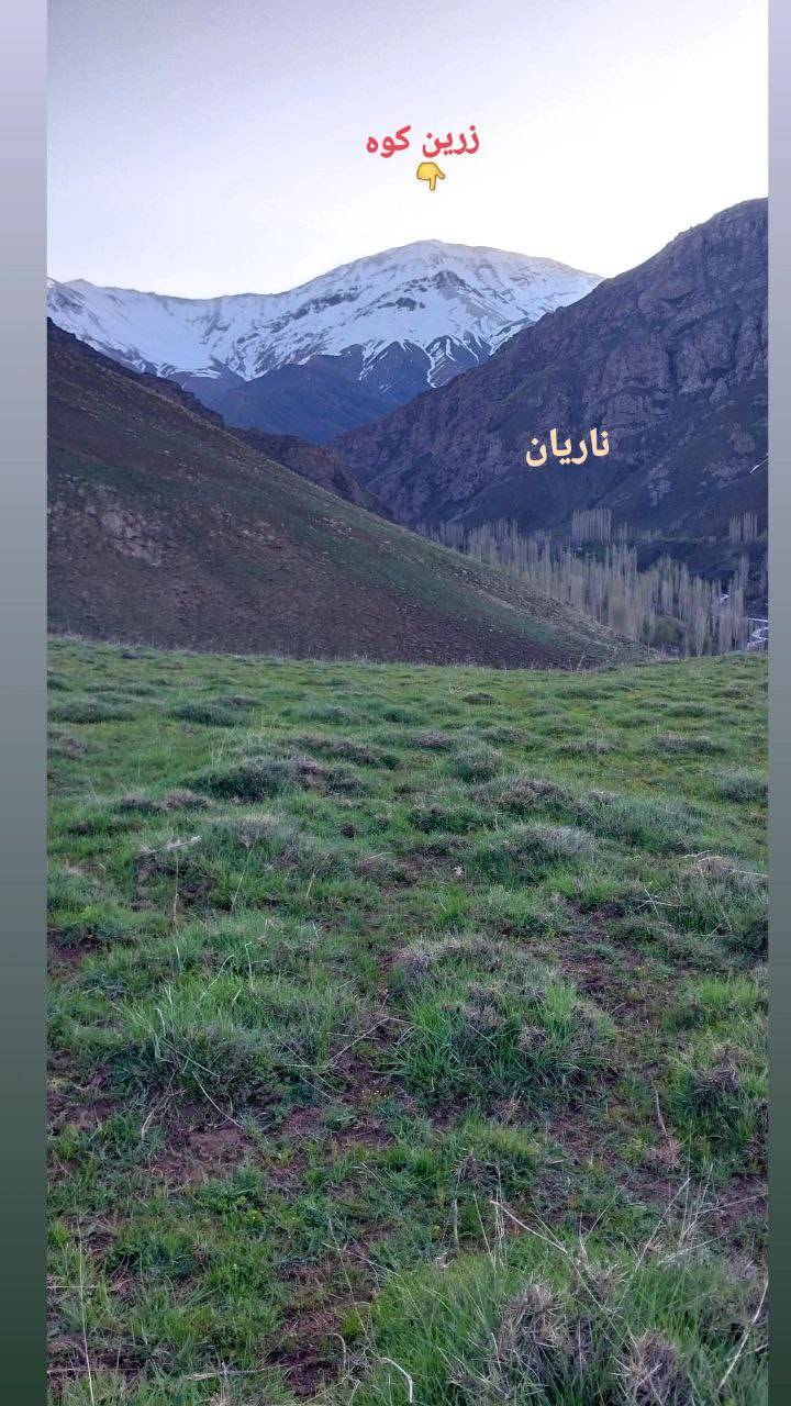 زرین کوه