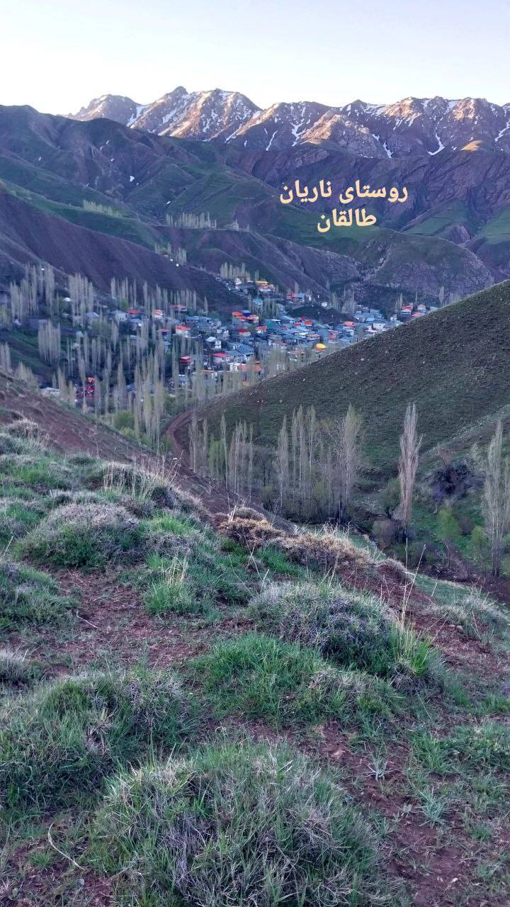 روستای ناریان