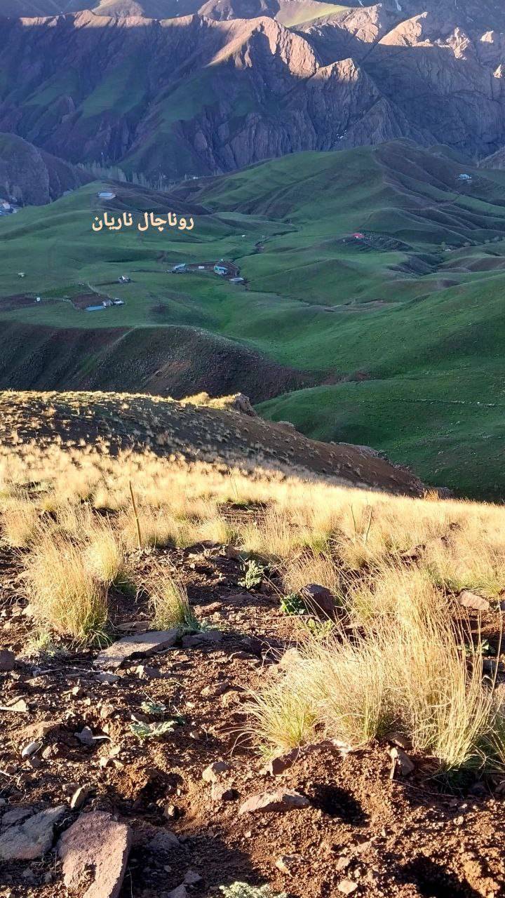 روناچال ناریان