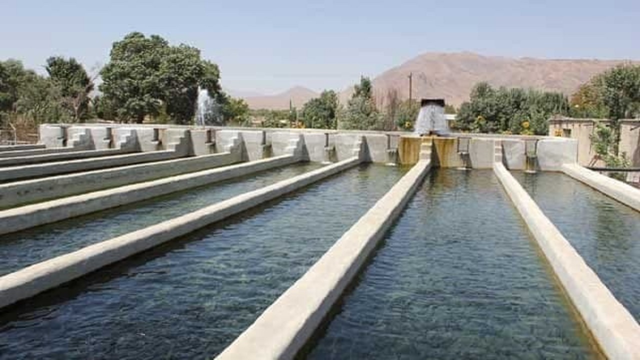 تولید سالانه ۲۵ هزار تن ماهی قزل آلای رنگین کمانی در چهارمحال و بختیاری