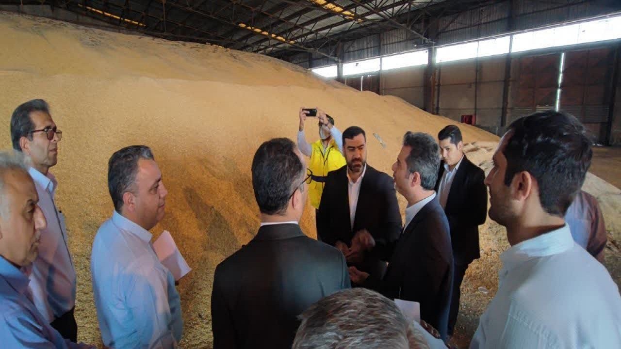 تعیین تکلیف ۱۳۷ هزار تن کالای اساسی دپو شده در بندر شهید رجایی / محموله ذرت مجوز مصرف خوراکی ندارد