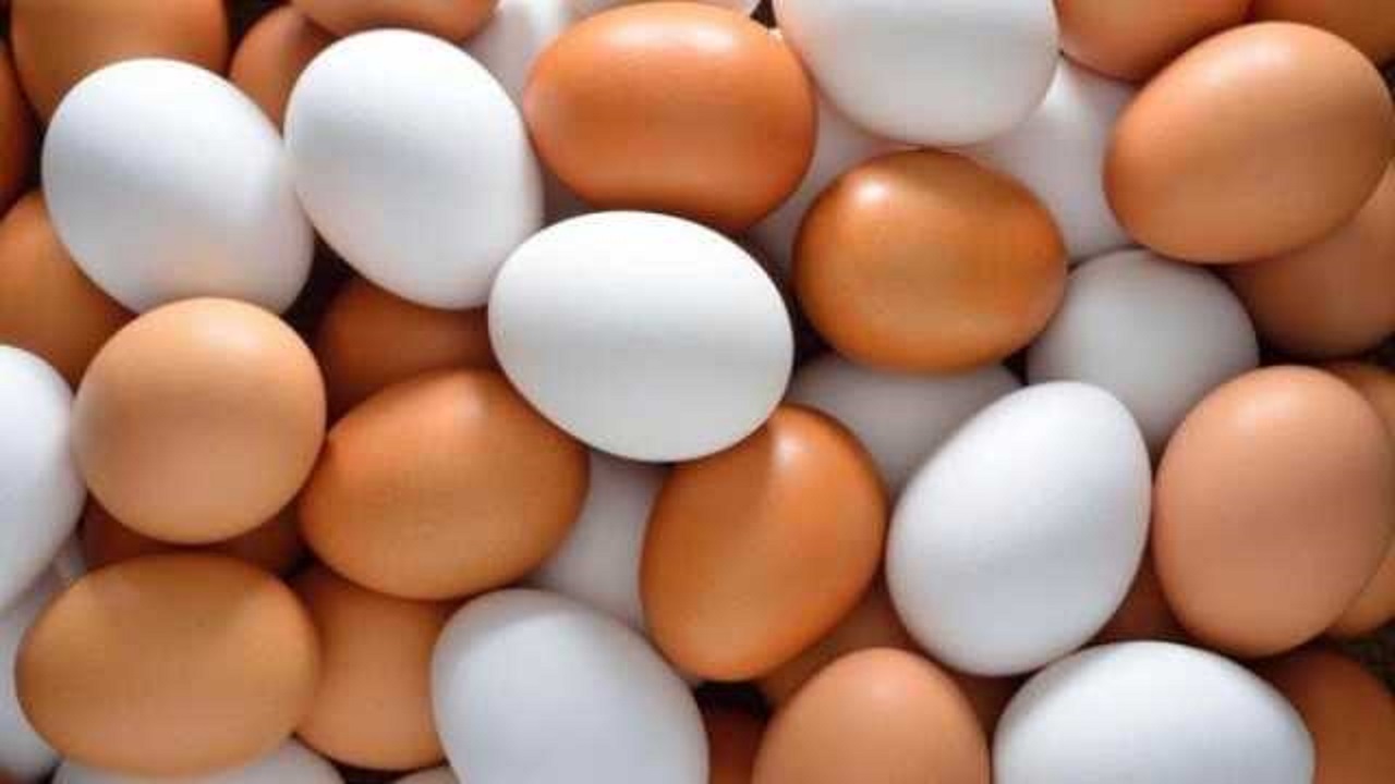 توقیف تخم مرغ‌های فاقد هویت در نهبندان