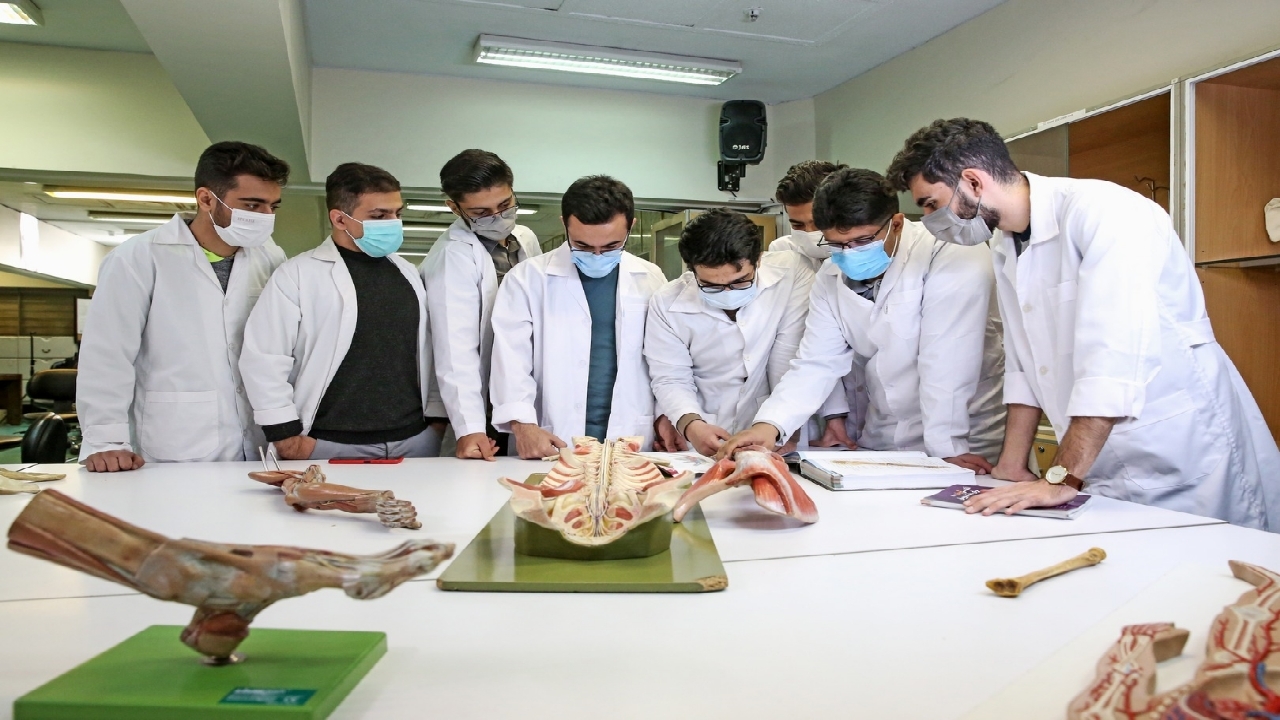 افزودن مباحث کارآفرینی و نوآوری به سرفصل‌های آموزشی دانشجویان