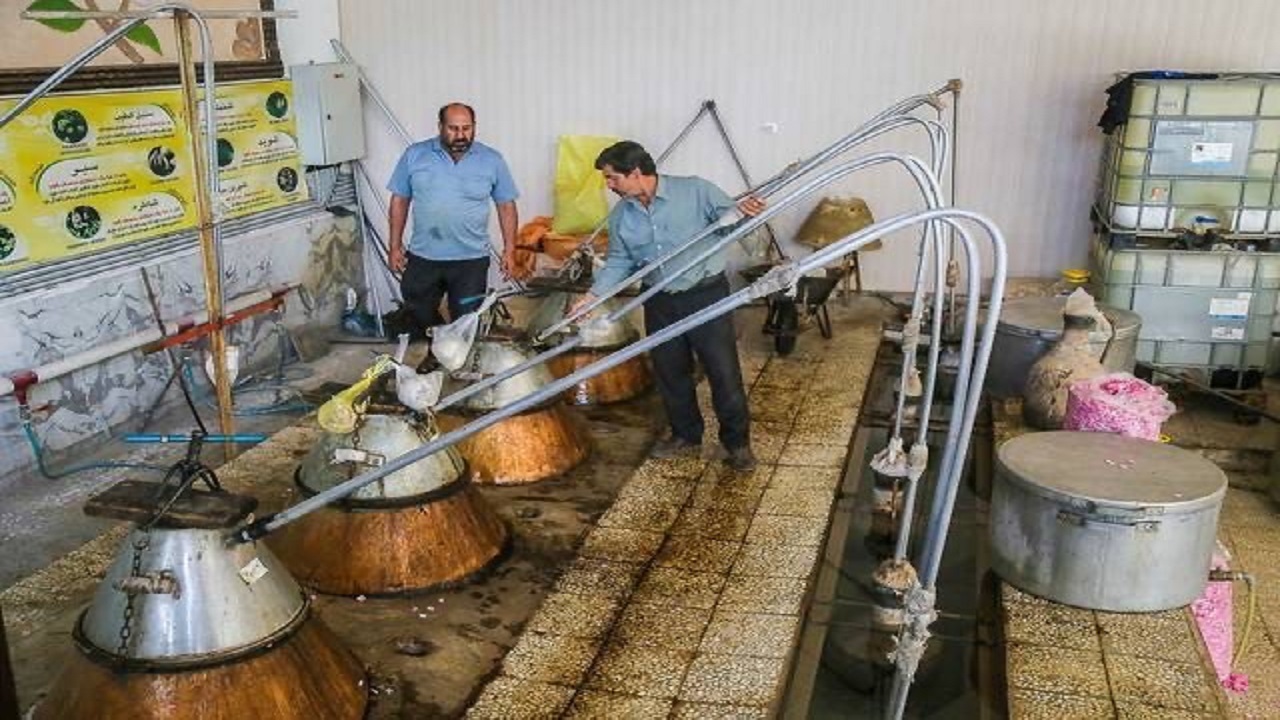 جشنواره گل و گلاب در دریاچه چیتگر برگزار می‌شود