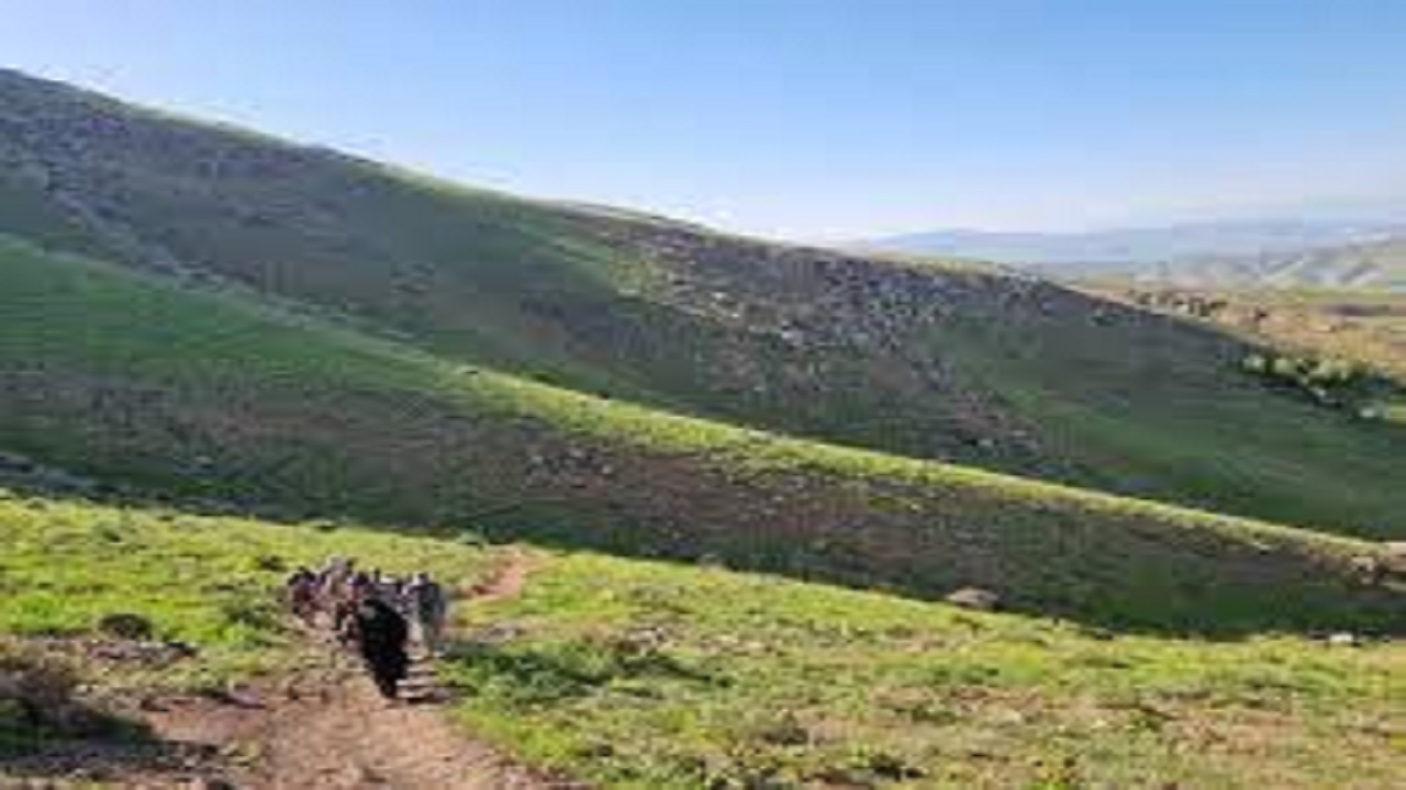 برخورد قضایی با متخلفان محیط زیست در استان همدان