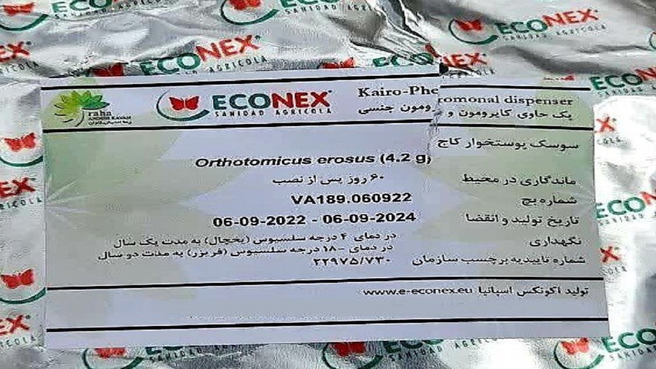 آغاز اجرای طرح مبارزه غیرشیمیایی علیه سوسک‌های پوست‌خوار کاج