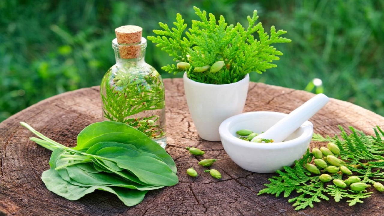 نخستین کنفرانس و کارگاه بین المللی اعمال یداوی در طب سنتی برگزار شد