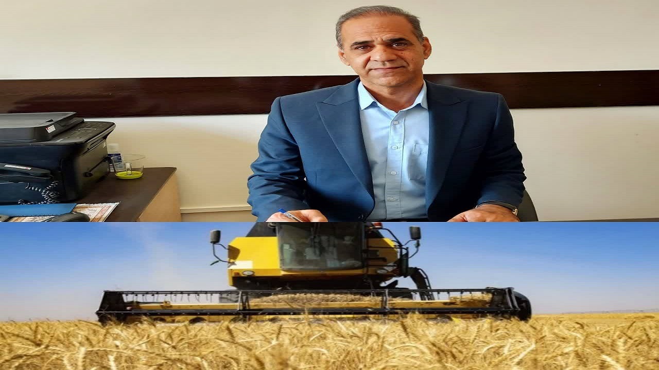 خرید گندم در سیستان و بلوچستان به بیش از ۴۷ هزار تن رسید
