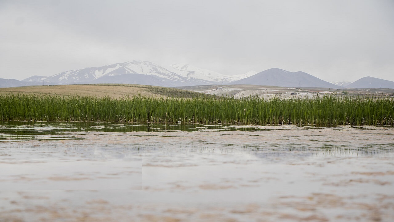 قوری گل، تالاب زیبای آذربایجان شرقی