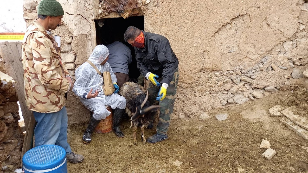 برگزاری اردوی جهادی در مناطق کمتر برخوردار آبیک