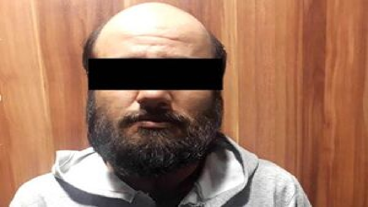 جنگل نشینی «خرمالو» بعد از ۲ قتل +عکس
