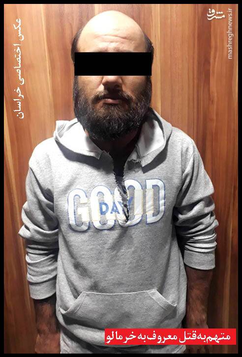 جنگل نشینی &laquo;خرمالو&raquo; بعد از ۲ قتل +عکس