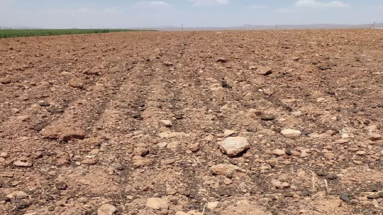آماده سازی اراضی کشاورزی فرادنبه به منظور کشت سیب زمینی به روش آبیاری لینیر هوشمند