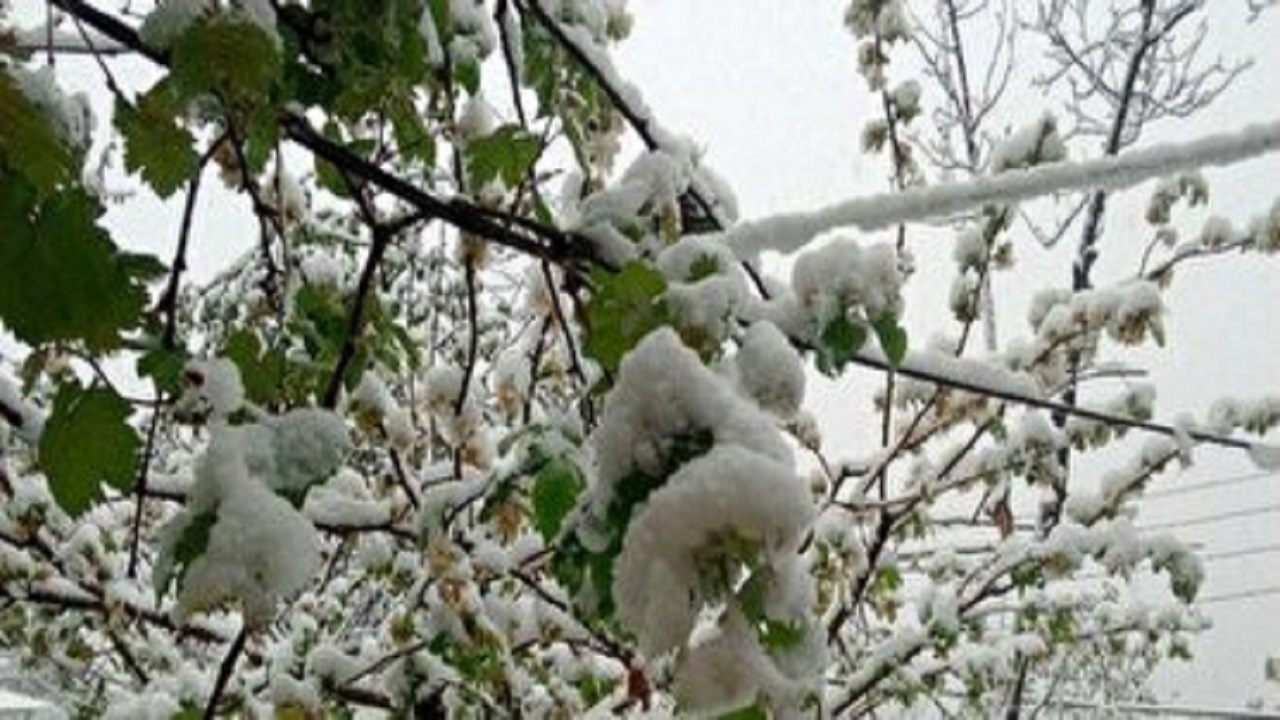 سفیدپوش شدن برخی از مناطق آذربایجان شرقی