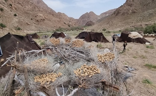 دور از هیاهوی شهر در کنار سیاه چادرهای عشایری + تصاویر