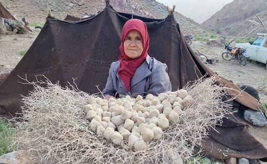 دور از هیاهوی شهر در کنار سیاه چادرهای عشایری + تصاویر
