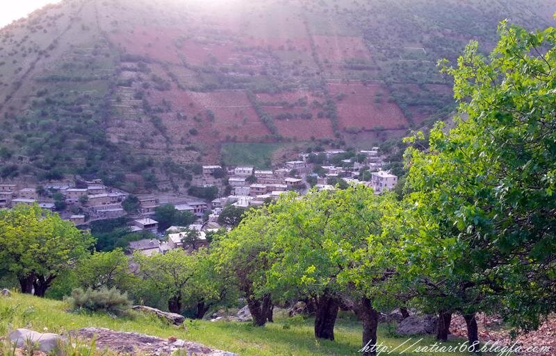 روستا روستا