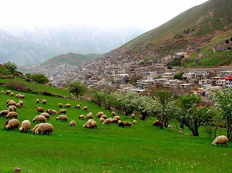 روستا روستا