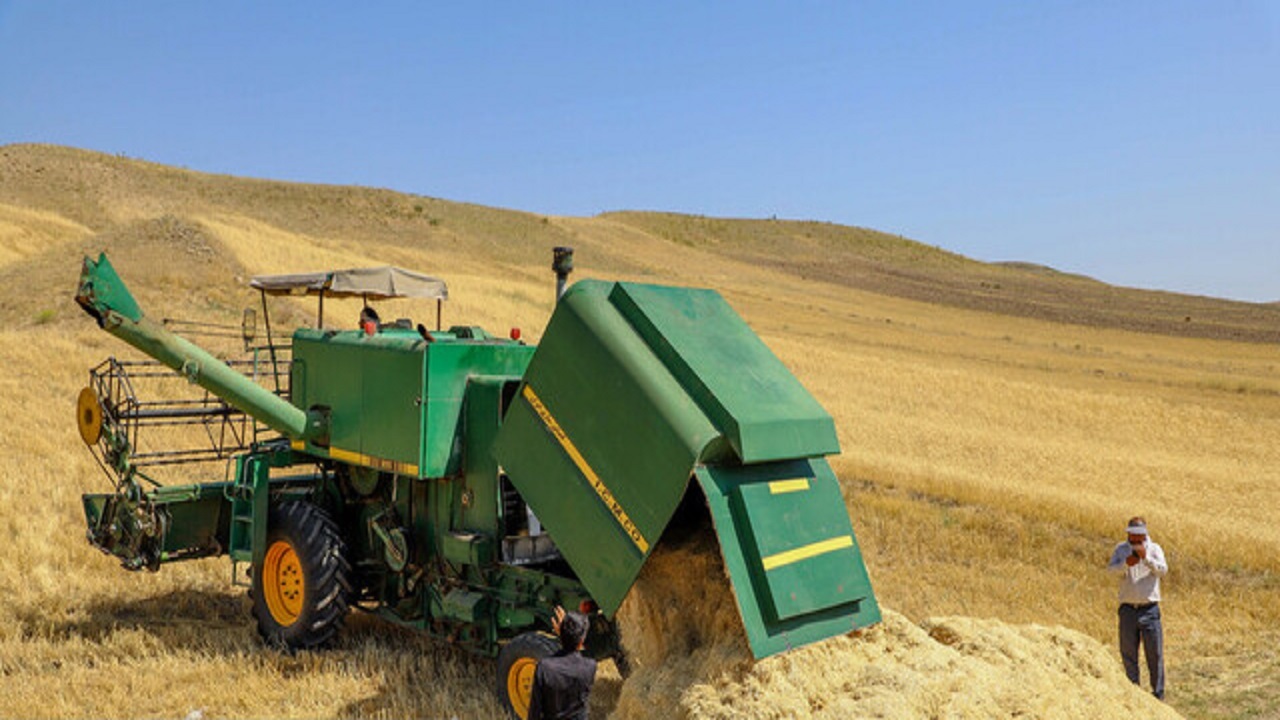 آمادگی ۶۱ مرکز برای خرید تضمینی گندم