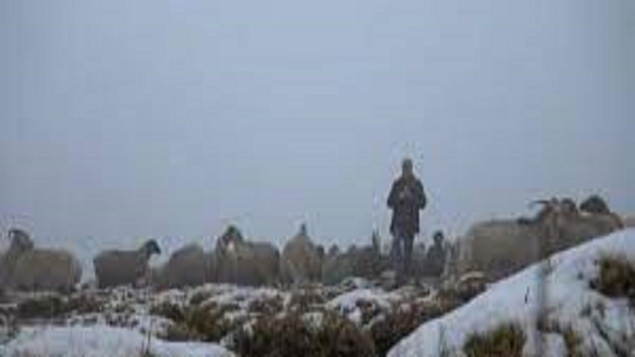 عشایر ساکن در دامنه ارتفاعات سبلان در محاصره برف