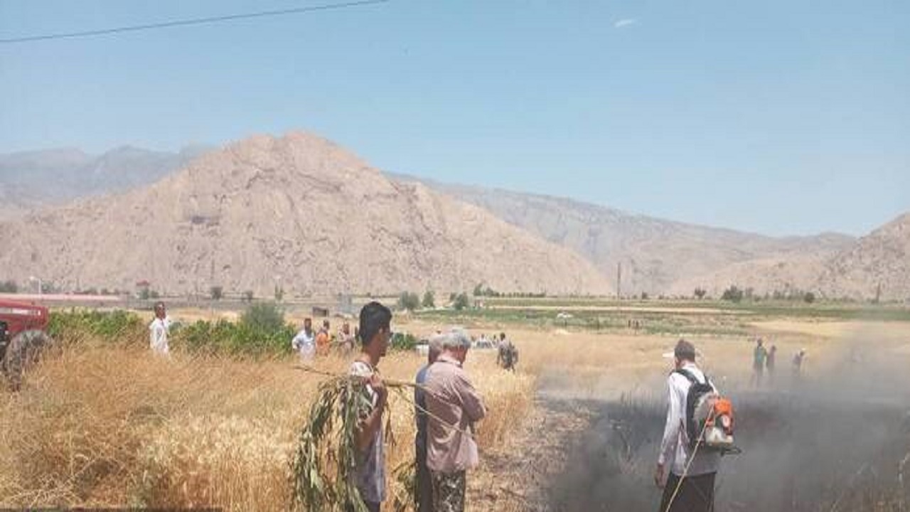 آتش سوزی گسترده در مزارع گندم و جو گچساران