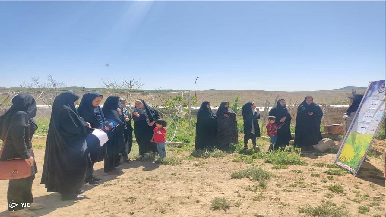 راه اندازی باغچه‌های سلامت در شهرستان بن