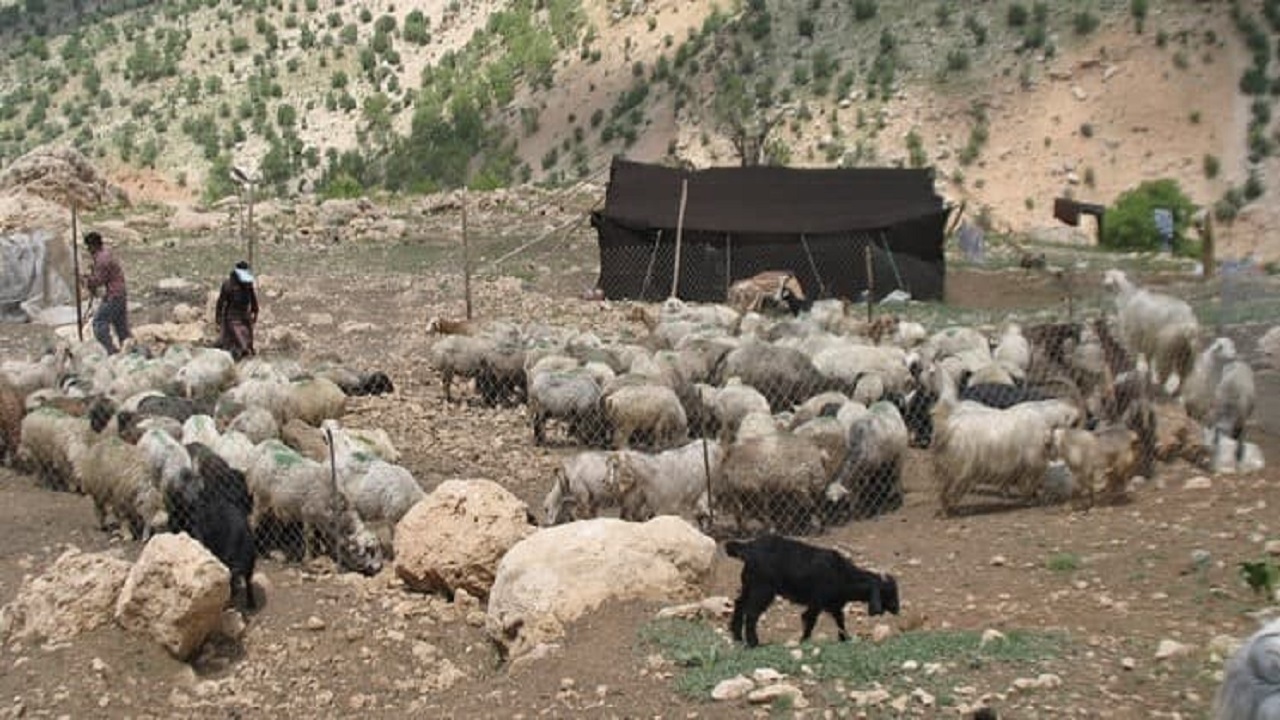 توزیع ۵۴۴ پنل خورشیدی بین عشایر استان کرمانشاه