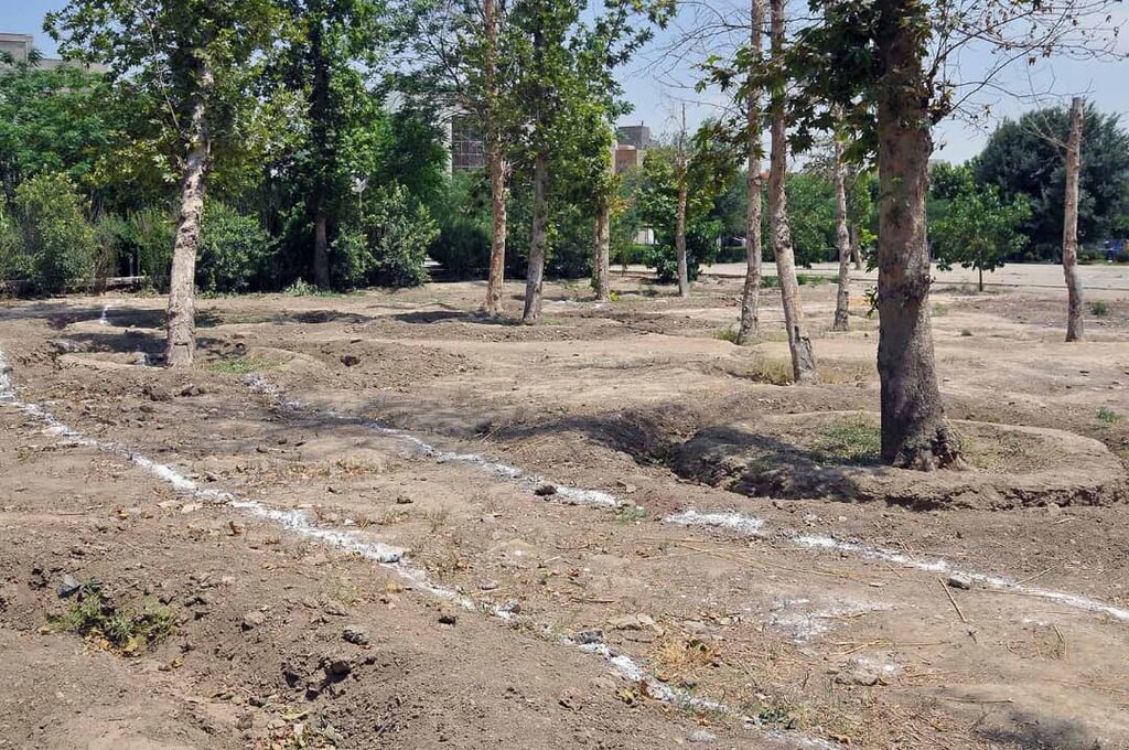 ساخت بوستان شهدای جهاد کشاورزی دزفول