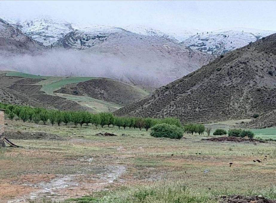 طبیعت بهاری طبیعت بهاری
