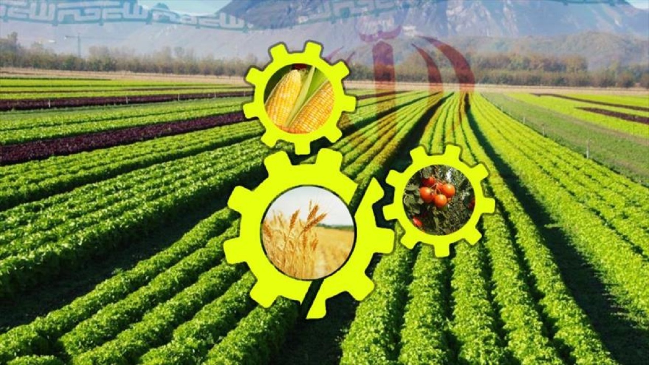 بیش از ۱۰۰ طرح تحقیقات کشاورزی در دست اجرای پژوهشگران استان مرکزی 