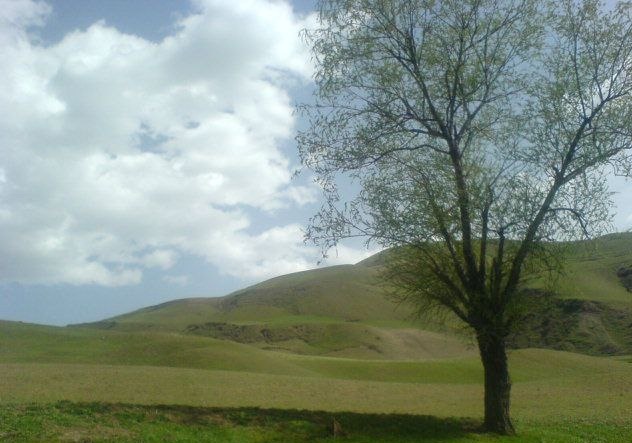 طبیعت روستای افسوران طبیعت روستای افسوران