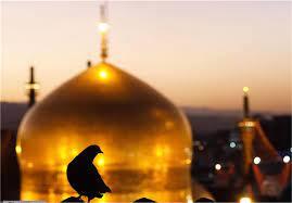 برگزاری پانزدهمین جشنواره ملی آه و آهو در کاشان