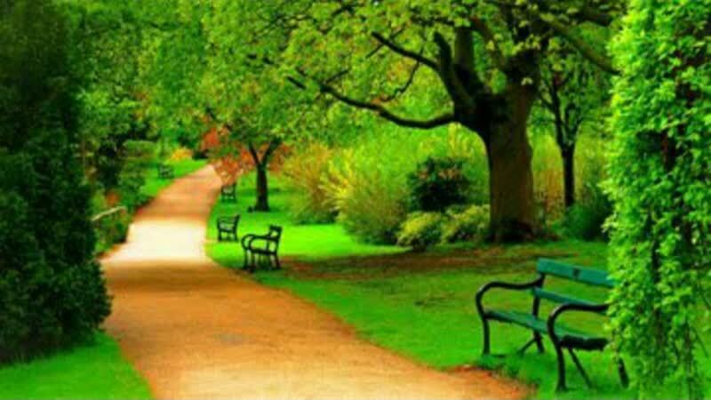 میزبانی اصفهان برای آماده‌سازی مسابقات ملی مهارت طراحی فضای سبز